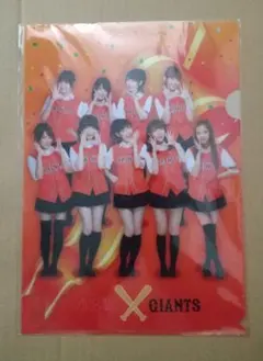 AKB48×読売ジャイアンツコラボレーションバスタオル 東京巨人戦タオル