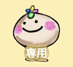 ［専用・追加］