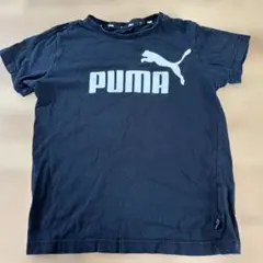 PUMA ブラック Tシャツ　150