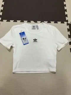adidas クロップドTシャツ ホワイト /アディダス/試着のみ