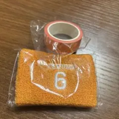 INI カプセルトイ　ガチャ　尾崎匠海リストバンド　マステ　セット