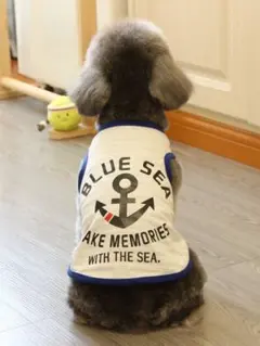 サイズM 犬服 ドッグウェア シャツ トイプードル ビション 小型犬 春夏服