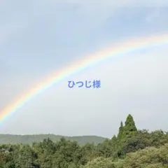 ひつじ様 リクエスト 2点 まとめ商品