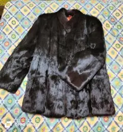 Item thumbnail for item 0107b17f-5d95-4fd8-93a4-f503738a7dae