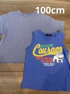 Tシャツ 2枚セット 100cmのサムネイル