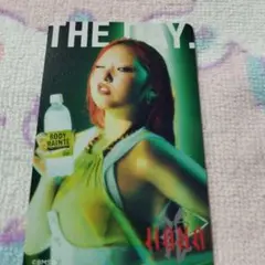 THE DAY. BODY MAINTE タレントカード
