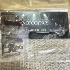 2025年最新】DIr en grey ラッフルの人気アイテム - メルカリ