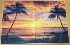 トロピカルサンセットビーチ　新品未使用品！