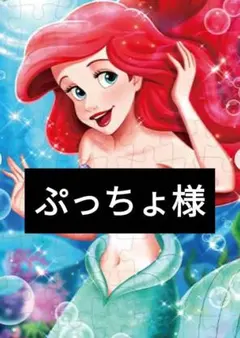 ぷっちょ様専用ページ4/26迄