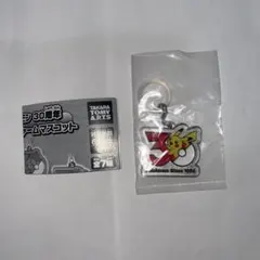 ポケモン 30周年 メタルチャームマスコット ピカチュウ