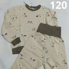 新品＊アプレレクール パンダ キルティング パジャマ 上下セット 120cm
