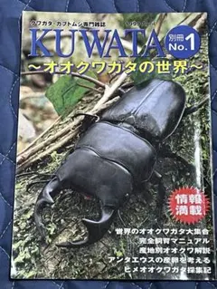 クワガタ カブトムシ専門雑誌 KUWATA 1999.4.30発行 - メルカリ