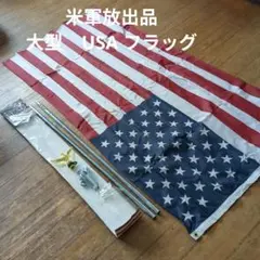 コロラド州空軍 F-16 嘉手納アメリカフェスト2026 RED EYE部隊P コロラド州空軍 F-16 嘉手納アメリカフェスト2026 RED EYE部隊P - メルカリ