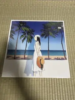 新品・未開封　PICTURED RESORT All レコード　和モノ　亜モノ