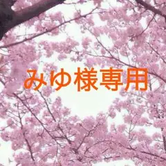 みゆ様専用