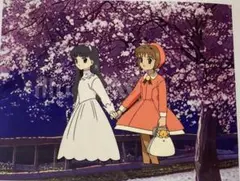 k５８　キャプターさくらセル画【さくらと知世ちゃん】動画・背景画付き