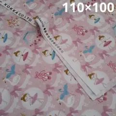 Item thumbnail for item d620f4cb-496e-497b-aa04-4af5f9cefea8