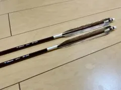 2026年最新】sst 弓道の人気アイテム - メルカリ