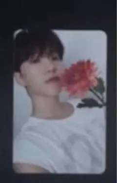 SEVENTEEN トレカ DEAR ver. ホシ