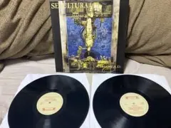 2025年最新】sepultura lpの人気アイテム - メルカリ