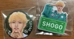 Item thumbnail for item 809458c5-e2f3-4121-a687-315c3596785f