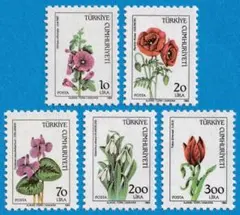 れんディ様 リクエスト 5点 まとめ商品