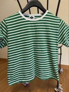 CO. 緑と白のストライプ Tシャツ 半袖