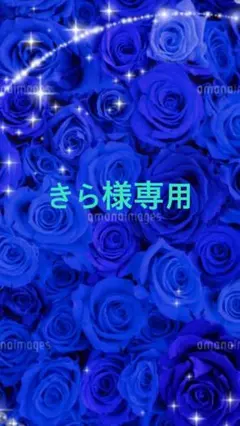 きら様専用