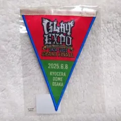 2026年最新】GLAY ガーランドの人気アイテム - メルカリ