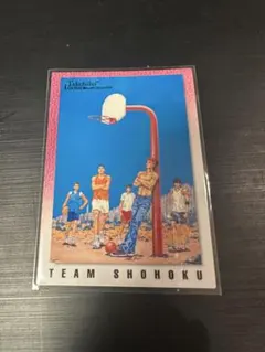 slam dunk スラムダンク カードダスマスターズ 117 三井 - メルカリ