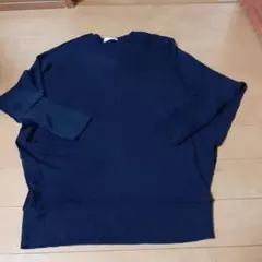 プロフィール ネイビー Vネック ニット 38