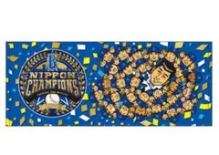 Item thumbnail for item a2c75bd8-621c-4f70-bb30-cffce82a53aa