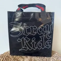 straykids domin ATE アプグレ　限定　グッズ　抜けなし