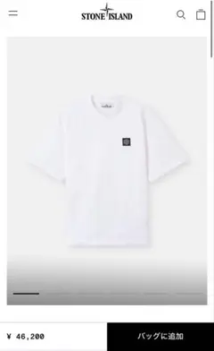 Narcissus FENDI フェンディ シンプルロゴ Tシャツ - メルカリ
