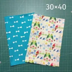 ランチマット 30×40 2枚組 リボン柄＆インコ柄