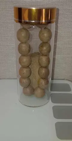 Item thumbnail for item 08e7ec30-78bc-4f3f-96f9-5761469292f4