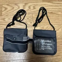 Item thumbnail for item 3560d7c0-a2d5-4275-9a4b-681d5c1a6e7c