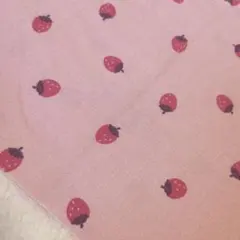 Item thumbnail for item 101e67ef-d644-44d3-8dd6-c005e8a8f9cc