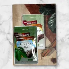 Item thumbnail for item 155ae51a-a3a1-4cf9-b22f-fa01eb8c04bb