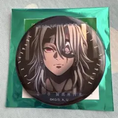 ♡鬼滅の刃 無限城編 缶バッジ♡