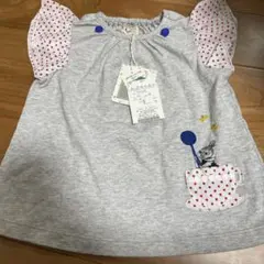 Item thumbnail for item 1d23c693-233d-4ac7-bdd2-1d057edf4209