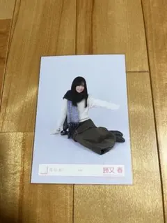 atsushi1655様 リクエスト 2点 まとめ商品