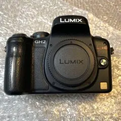 Panasonic LUMIX GH4本体 SmallRigケージ付 おまけ多数 - メルカリ
