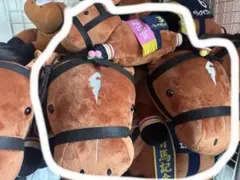 リバティアイランド　セット 2025年最新】リバティアイランド 桜花賞の人気アイテム - メルカリ