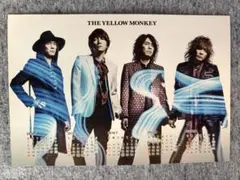 イエローモンキー ポストカード　イエモン