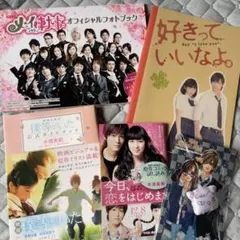 メイちゃんの執事　好きっていいなよ　僕等がいた　　今日恋を始めます　公式本他