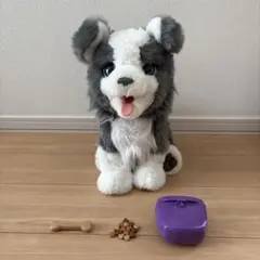 Item thumbnail for item be000603-72e8-4c2b-81ee-183a548468ad