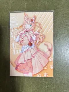 ネコぱら メープル イラストカード ポストカード