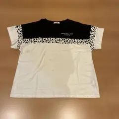 PINK-latte ダルメシアン柄 半袖Tシャツ XSサイズ