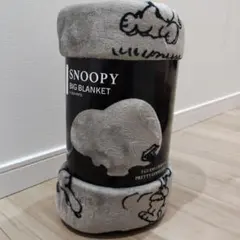 Item thumbnail for item e5e2db5f-a257-491e-a132-a132b7040a35